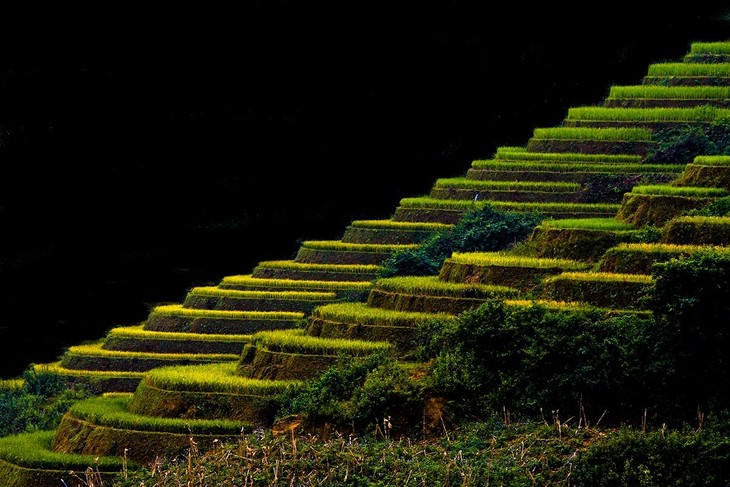 Harvest time in Mu Cang Chai - ảnh 10